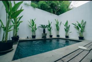 a swimming pool with potted plants in a backyard at Wolu Designer Loft - Private Pool & Tropical Garden, Canggu in Tumbak Bayuh