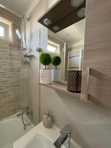 a bathroom with a sink and two potted plants on a shelf at Victoria City View in Victoria +13 photos