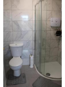 a bathroom with a toilet and a shower at Trendy Apartment in Tralee in Tralee