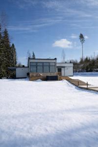 a house in the snow with a snow covered yard at Himos Pitkäjärvi in Jämsä