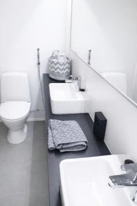 a bathroom with a sink and a toilet and a mirror at Himos Pitkäjärvi in Jämsä +12 photos