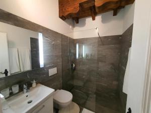 a bathroom with a shower and a toilet and a sink at Ferienwohnung Selina in Lenzerheide +18 photos