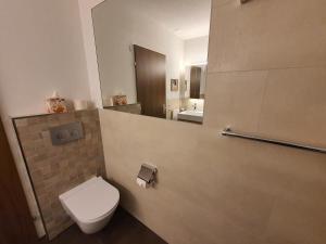 a bathroom with a toilet and a sink and a mirror at Triangel C Kiefer in Parpan