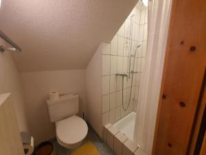 a small bathroom with a toilet and a shower at La Schmetta 65 Quadroni in Lenzerheide +21 photos