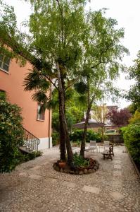 two trees in a courtyard next to a building at Cristallo apartment in Ravenna