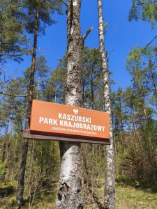a sign on a tree in a forest at Dublinkowo in Gołubie