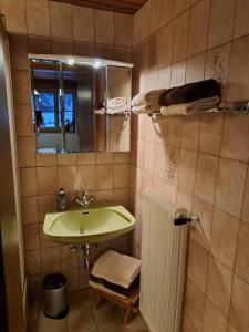 a bathroom with a green sink and a mirror at Ferienwohnung Gaiswinkler in Grundlsee +35 photos
