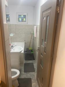 a small bathroom with a sink and a toilet at Sofia Apartament in Drobeta-Turnu Severin