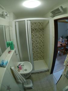 a bathroom with a shower and a sink at Chaty u Martiny in Nalžovice