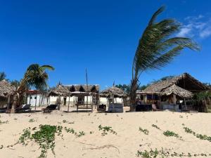 a group of huts on a beach with a palm tree at Baba Lao Beach Hostel in Malindi
