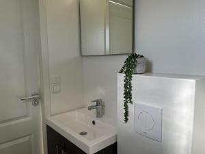 a bathroom with a sink and a mirror at Chaletverhuur-Olmenduin in Serooskerke +44 photos