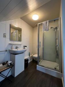 a bathroom with a shower and a sink and a toilet at B&B Castellier in Lier +74 photos