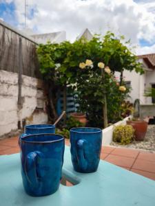 Jardí fora de Casa Campinho