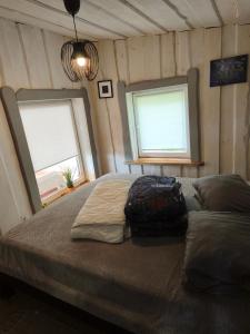 a bedroom with two windows and a large bed at Sodyba Valdo kubilas in Trakai