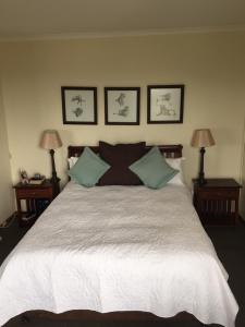 Een bed of bedden in een kamer bij Valley Vista Lodge