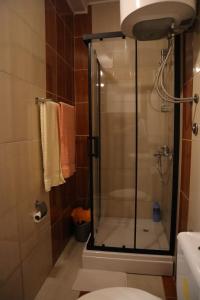 a bathroom with a shower with a toilet and a sink at D&N Adriatic Nest in Kotor +10 photos
