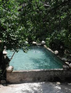a small pool of water in a yard at Hotel Dede in Lentekhi