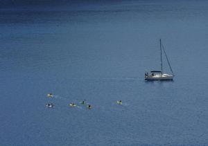Billede fra billedgalleriet på Likya Yolu Palas Hotel i Kapaklı