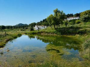 a small pond in the middle of a field at Marvão Country Houses - Queixos I in Santo António das Areias
