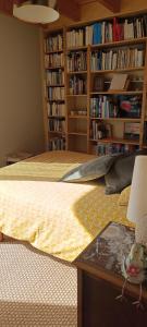 a bedroom with a bed and a book shelf with books at Bouquin-couette in Plouguerneau