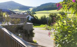a view from a balcony of a house with flowers at Honigduft und Bienenluft in Sankt Oswald bei Freistadt