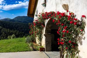 an arch with red flowers on the side of a building at Olabe hostel in Ea