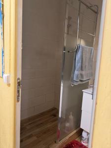 a shower with a glass door in a bathroom at Demane-bebbih in Étouars