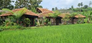 a group of houses with a field of grass at Le Pandai in Bogor