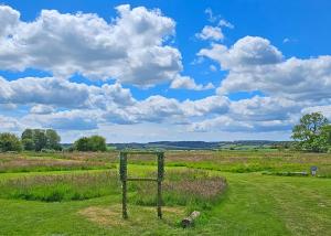 a fence in a field with a cloudy sky at Hampshire Hills in Bighton +36 photos