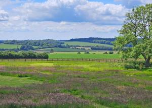 a field with a fence in the middle of it at Hampshire Hills in Bighton