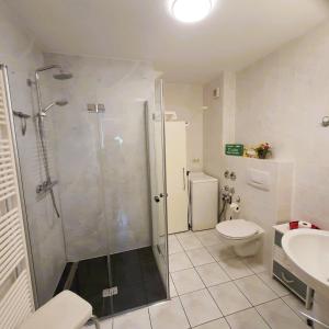 a bathroom with a shower and a toilet and a sink at Neue Liebe - Wohnung 1 in Groß Kirr +13 photos