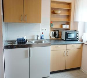a small kitchen with a sink and a microwave at Wein- Appartements Borth in Bretzfeld +17 photos