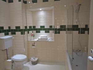 ein Badezimmer mit einer Dusche, einem WC und einer Badewanne in der Unterkunft The Old Medical Hall in Castletownbere