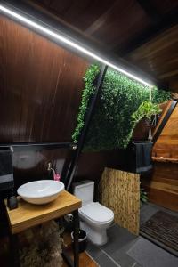 a bathroom with a toilet and a sink at Cabanas Terra Nova in Três Coroas