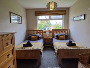 a bedroom with two beds and a window at Lyndale in Tobermory