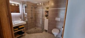 a bathroom with a shower and a toilet and a sink at Maison d'hôtes - Relais De La Poste in Gerbépal +31 photos