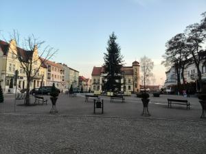 a park with benches and a christmas tree in a city at Mikołajki Apartamenty Rynek in Mikołajki