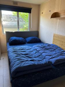 a bed with blue pillows in a room with a window at Beach Resort Kamperland - 1123 in Kamperland