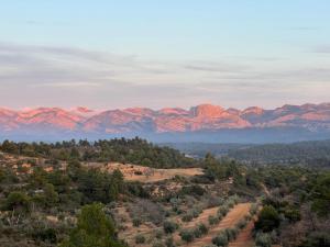 a view of a valley with mountains in the distance at Apartamentos llerda in Cretas