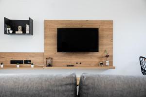 a living room with a couch and a television on a wall at Apartamentos llerda in Cretas