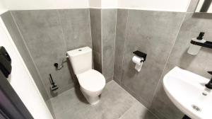 a bathroom with a white toilet and a sink at Pavelkova House in Olomouc +5 photos