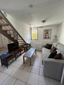 a living room with a couch and a tv at Maison petit havre de paix in Palavas-les-Flots