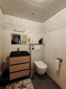 a bathroom with a toilet and a sink and a mirror at Domaine Du Hêtre - Meublé T2 in Bains-les-Bains