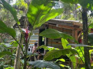 a man standing in front of a tree house at Tudo é Arte Retreat - A Creative Haven Between Nature and Sea in Piçarras
