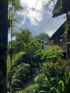 a garden in front of a house with trees at Tudo é Arte Retreat - A Creative Haven Between Nature and Sea in Piçarras +36 photos
