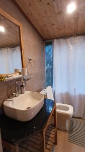 a bathroom with a sink and a toilet at jibhihomesteadcabin in Jibhi