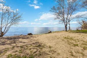 a sandy beach next to the water with two trees at Lakeside Haven suite in Georgina