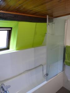 a bathroom with a glass shower with a window at Appart chaleureux in Colmar