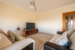 a living room with a couch and a tv at Praça da Cultura Residence in Buarcos