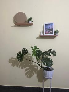 a plant in a pot on a wall at inoru house in Siliguri